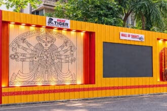 Shyam Metalics Durga Puja