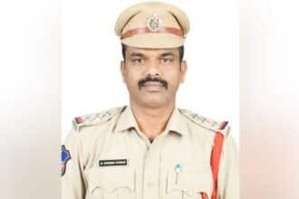 Festival Traffic Safety |