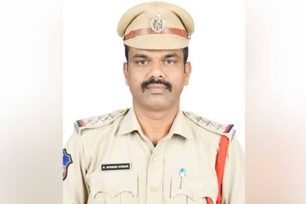 Festival Traffic Safety |